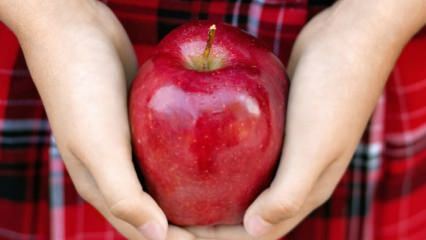 Hogyan értékelik a rothadt almát? 
