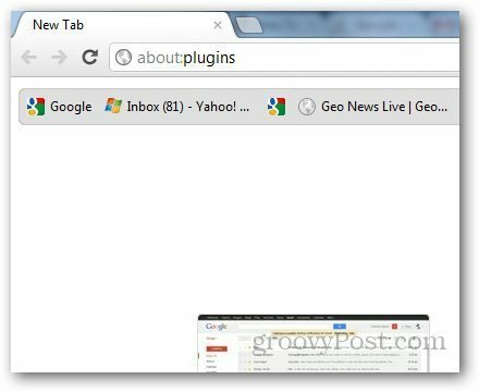 PDf Viewer Chrome 1
