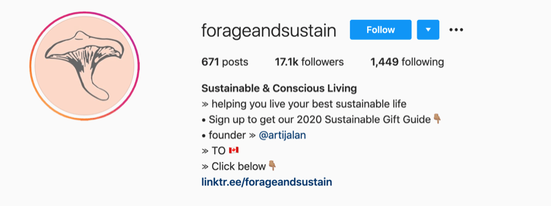 instagram profil példa a @forageandsustain oldalról, egy megjegyzéssel a profilinformációikban, hogy további információkért kattintson a bio linkre