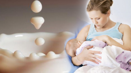 Hogyan reprodukálódik az anyatej? Gyógyító receptek, amelyek növelik az anyatejet