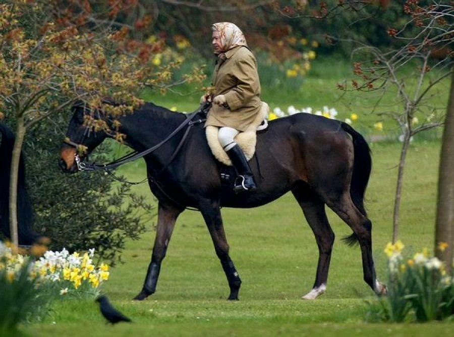 Királynő Erzsébet lovaglásra 