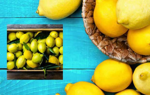 karcsúsító citrom diéta