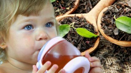 Lehetnek csecsemők teát inni?