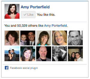 amy porterfield facebook like box