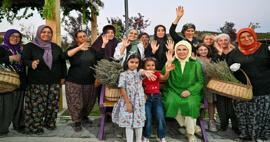 Erdoğan First Lady meglátogatta az ökológiai falut, és levendulát aratott Ankarában