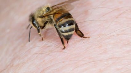 Mi a méh allergia és milyen tünetei vannak? Természetes módszerek, amelyek jóak a méhek szúrására