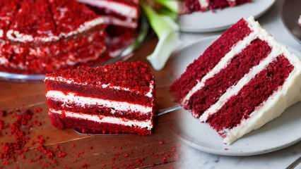 Hogyan készítsük el a legegyszerűbb vörös bársonyos tortát? Tippek a vörös bársonyos tortához