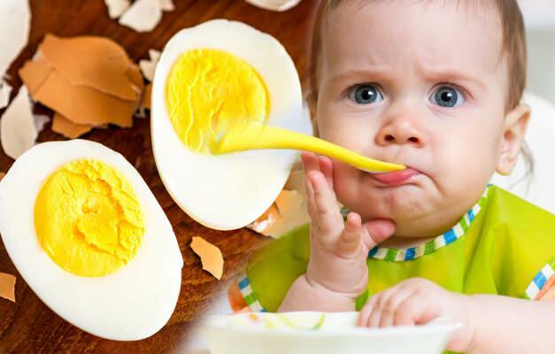 Van-e a tojás allergia? Tojás recept csecsemők számára