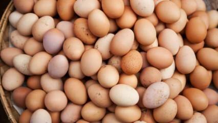 Mit kell figyelembe venni a tojás kiválasztásakor?