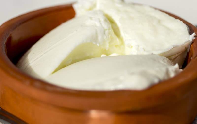 Milyen előnyei vannak a bivalyjoghurtnak? Hogyan készítsünk bivalyboghurtot és mire való?