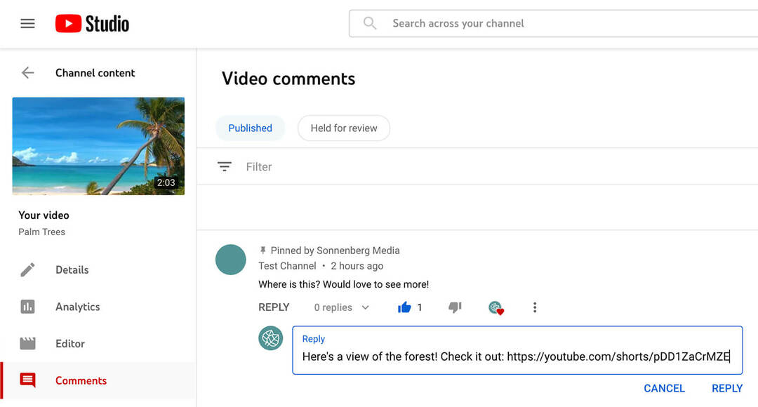 hogyan-használd a youtube-shorts-megjegyzés funkciót a címkézéshez és a kommentelők megemlítéséhez-válaszolás az eredeti megjegyzésre-szöveges-megjegyzés-példával-14