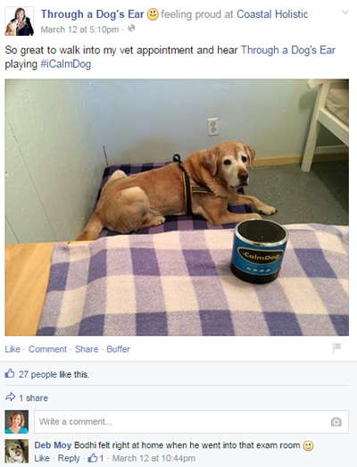 egy kutya fül facebook bejegyzésén keresztül