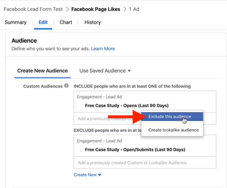 Ez a Közönség opció kizárása a Facebook kampány beállításainak Közönség szakaszában