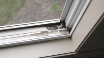 Hogyan tisztítsuk meg az ablakpárkányokat? 