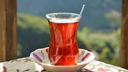 Honnan lehet tudni, hogy a tea jó minőségű? A tea minőségének megértésének módjai