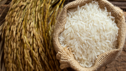 Hogyan értik meg a legjobb rizst? 