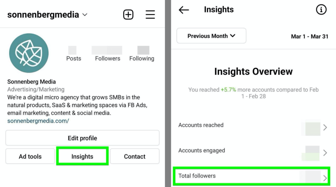 az Instagram Insights Total Followers opciójának képe