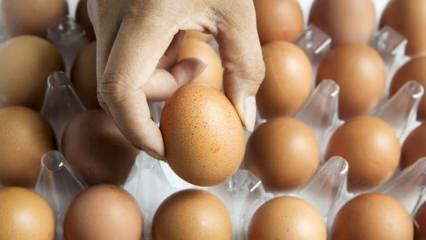 Gyakorlati tanácsok a tojás friss tartására